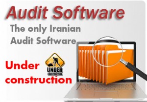 Audit Software